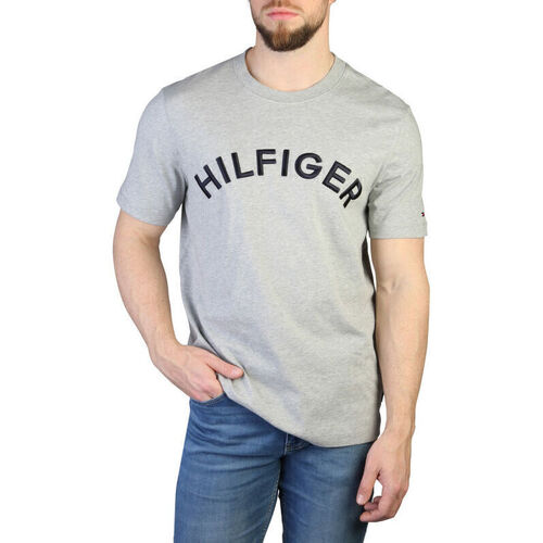 Kleidung Herren T-Shirts Tommy Hilfiger - mw0mw30055 Grau