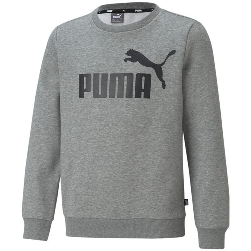Kleidung Jungen Sweatshirts Puma 586963-03 Grau