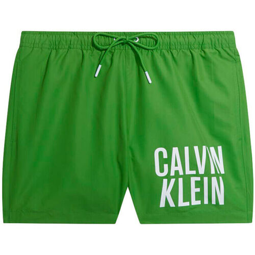 Kleidung Herren Shorts / Bermudas Calvin Klein Jeans km0km00794-lxk green Grün