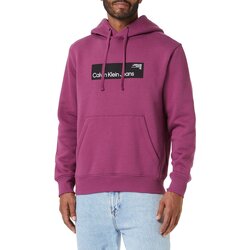 Kleidung Herren Sweatshirts Calvin Klein Jeans J30J324106 Violett