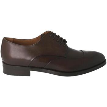 Schuhe Herren Derby-Schuhe & Richelieu Calce  Braun