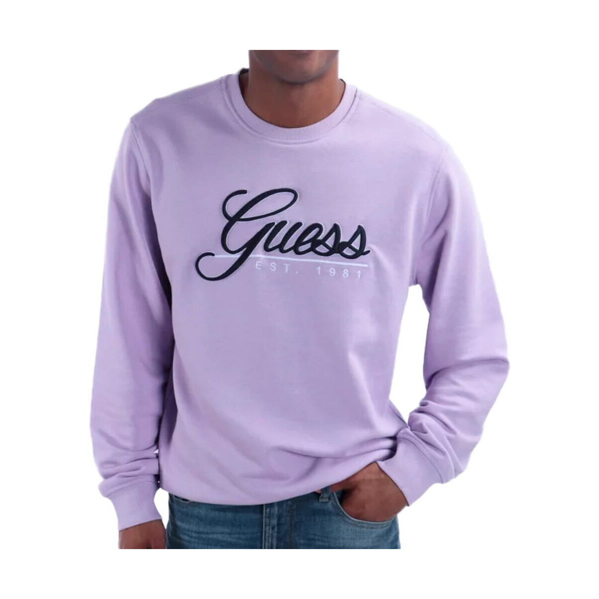 Kleidung Herren Sweatshirts Guess G-M3GQ08KBK32 Violett