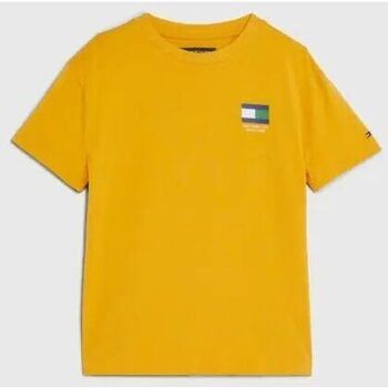 Kleidung Jungen T-Shirts & Poloshirts Tommy Hilfiger KB0KB08328 FLAG TEE-KEM COLLEGE GOLD Gelb