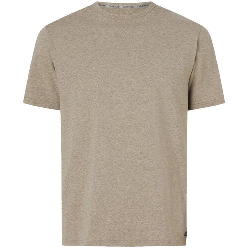 Kleidung Herren T-Shirts & Poloshirts Calvin Klein Jeans 000NM2423E Grau