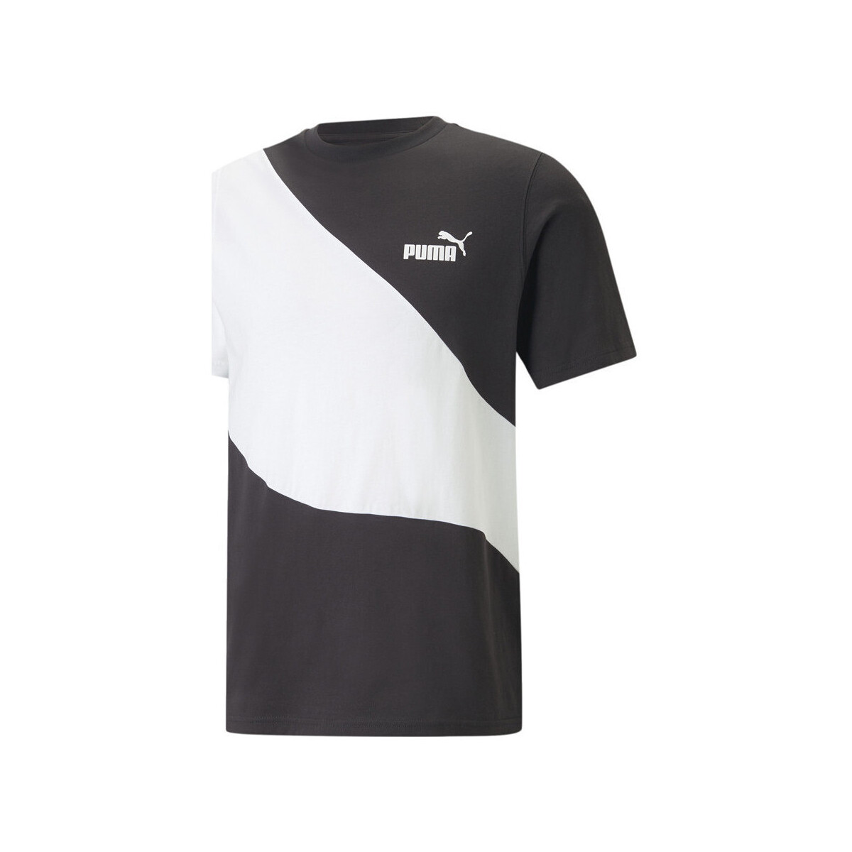 Kleidung Herren T-Shirts & Poloshirts Puma 673380-01 Weiss