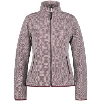 Kleidung Damen Pullover Icepeak Sport AULTI 254858490I 689 Other