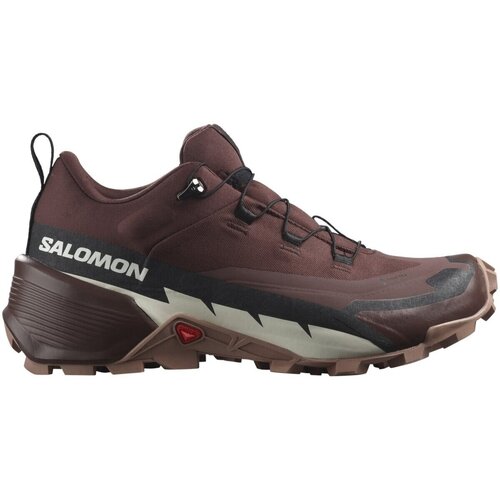 Schuhe Damen Fitness / Training Salomon Sportschuhe Cross Hike 2 GTX L41730600 Braun