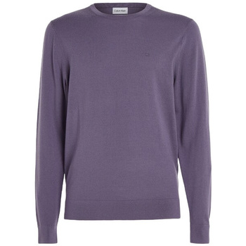 Kleidung Herren Pullover Calvin Klein Jeans K10K109474 Violett