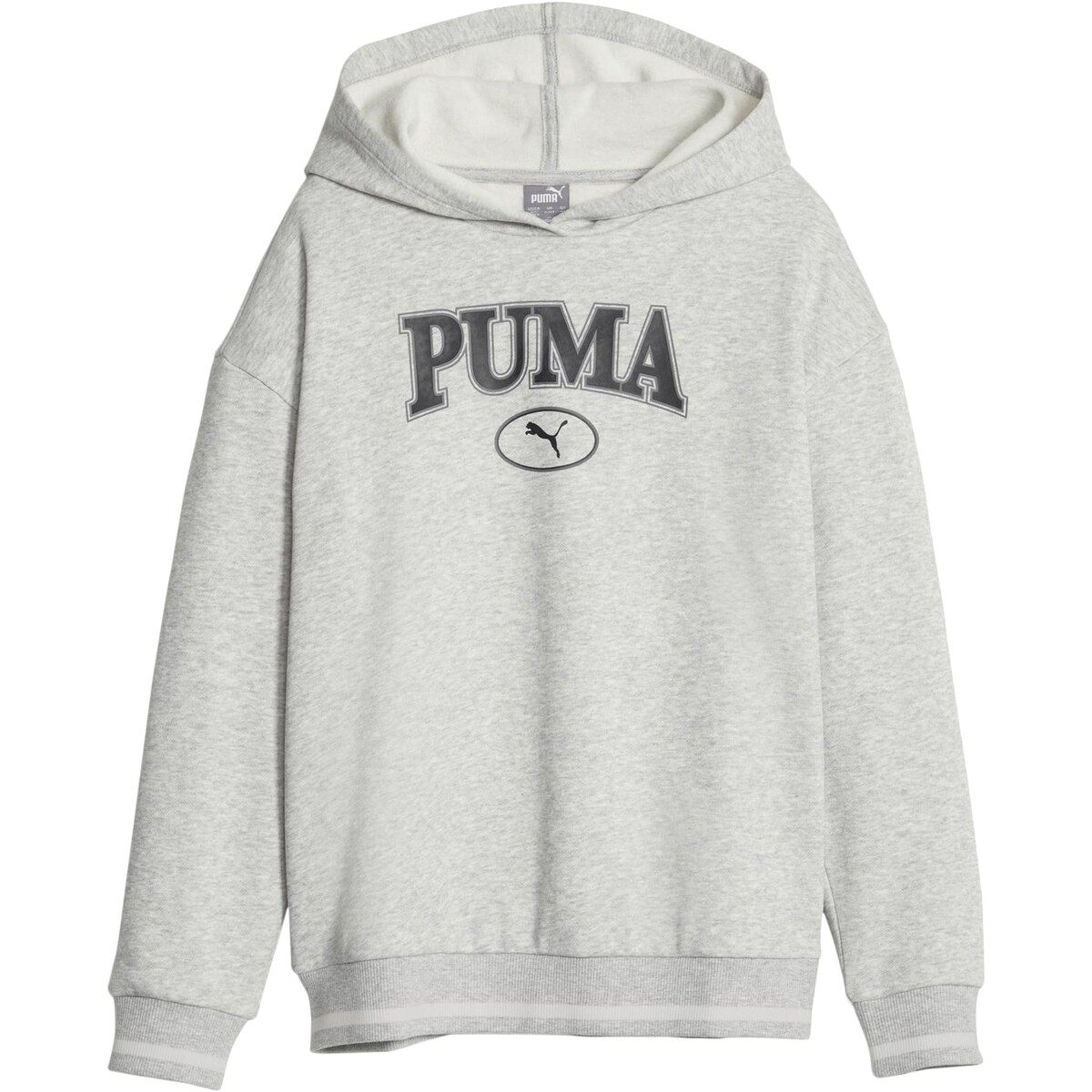 Kleidung Mädchen Sweatshirts Puma 219652 Grau