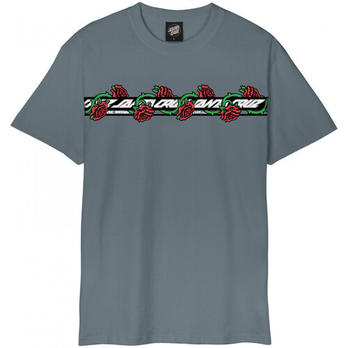Kleidung Herren T-Shirts & Poloshirts Santa Cruz Dressen roses ever-slick Grau