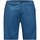 Kleidung Herren Shorts / Bermudas Jack Wolfskin Sport JWP SHORTS M 1505971 1130 Blau