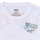 Kleidung Jungen T-Shirts Levi's SCENIC SUMMER TEE Multicolor / Weiss