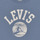 Kleidung Jungen T-Shirts Levi's SURFS UP TEE Blau
