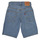 Kleidung Jungen Shorts / Bermudas Levi's SKY WITHOUT DESTRUCTION Blau