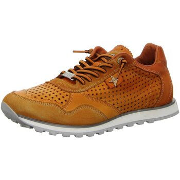 Schuhe Herren Sneaker Cetti C848 Used Tin Amber C848 Used Tin Amber Orange