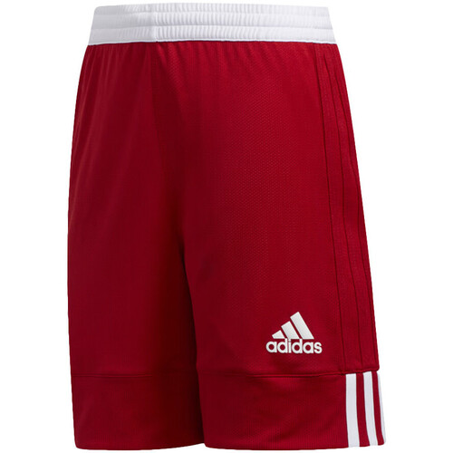 Kleidung Jungen Shorts / Bermudas adidas Originals DY6627 Rot