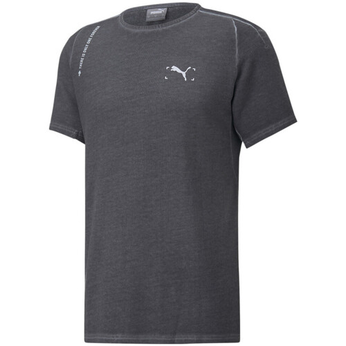 Kleidung Herren T-Shirts & Poloshirts Puma 522154-43 Grau