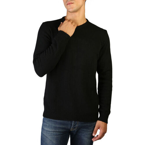 Kleidung Herren Pullover 100% Cashmere Jersey Schwarz
