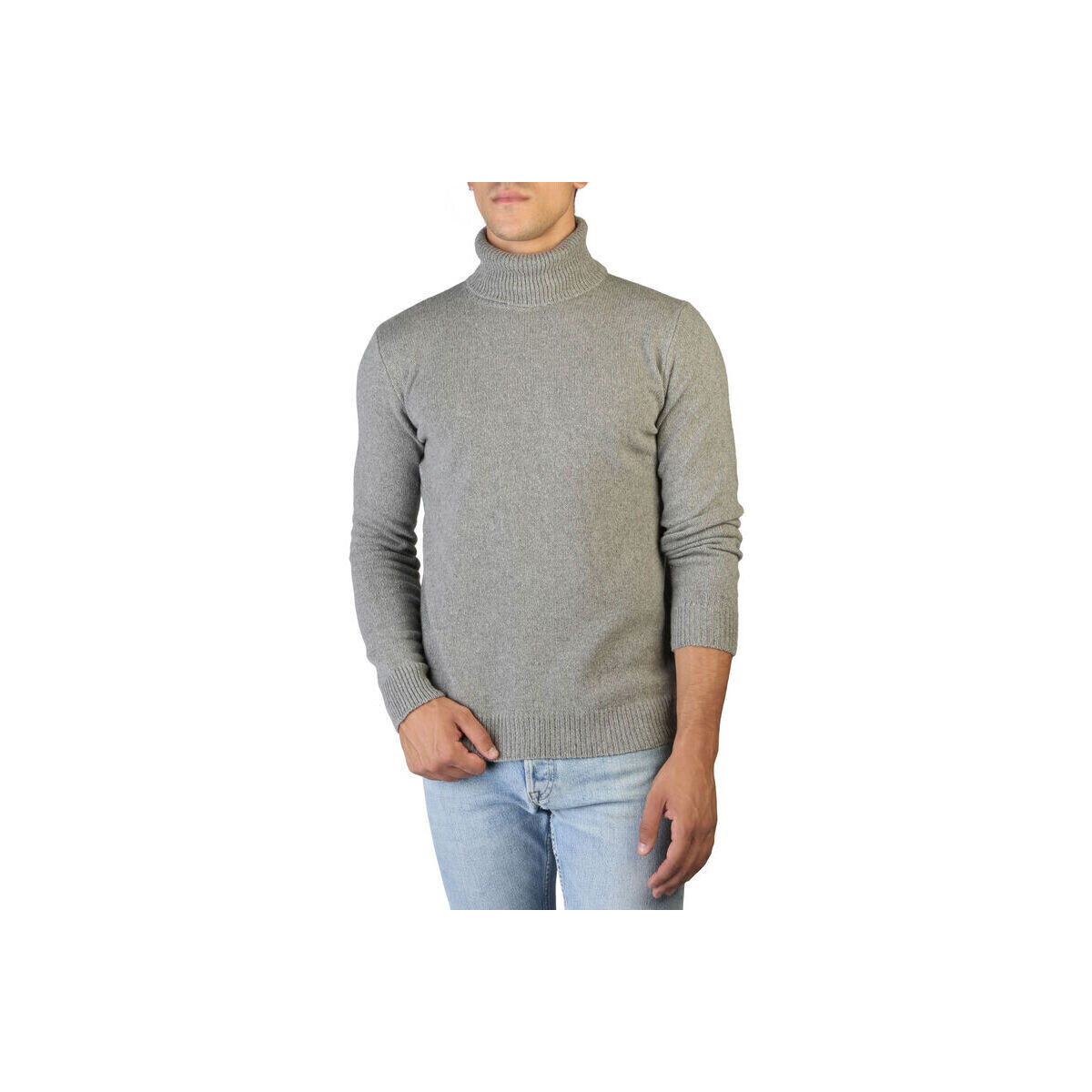 Kleidung Herren Pullover 100% Cashmere Jersey roll neck Grau
