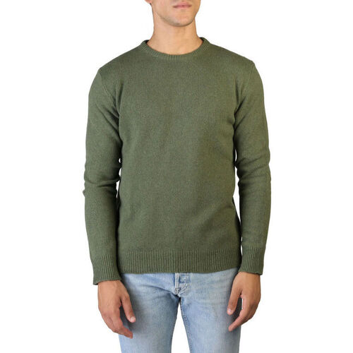 Kleidung Herren Pullover 100% Cashmere Jersey Grün
