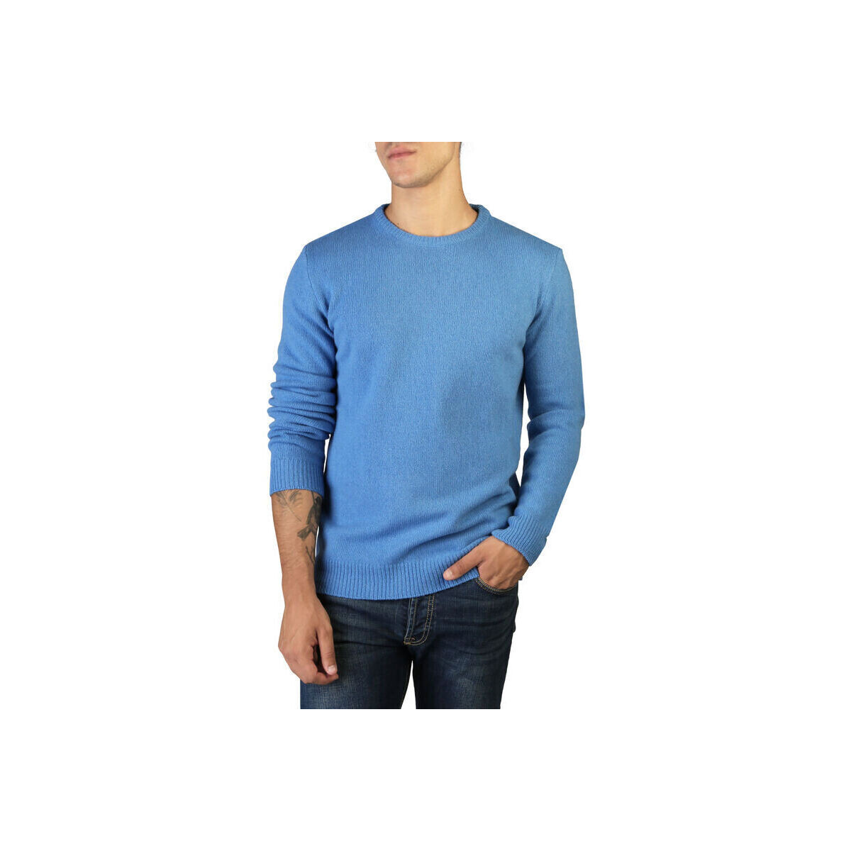 Kleidung Herren Pullover 100% Cashmere Jersey Blau