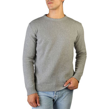 Kleidung Herren Pullover 100% Cashmere Jersey Grau