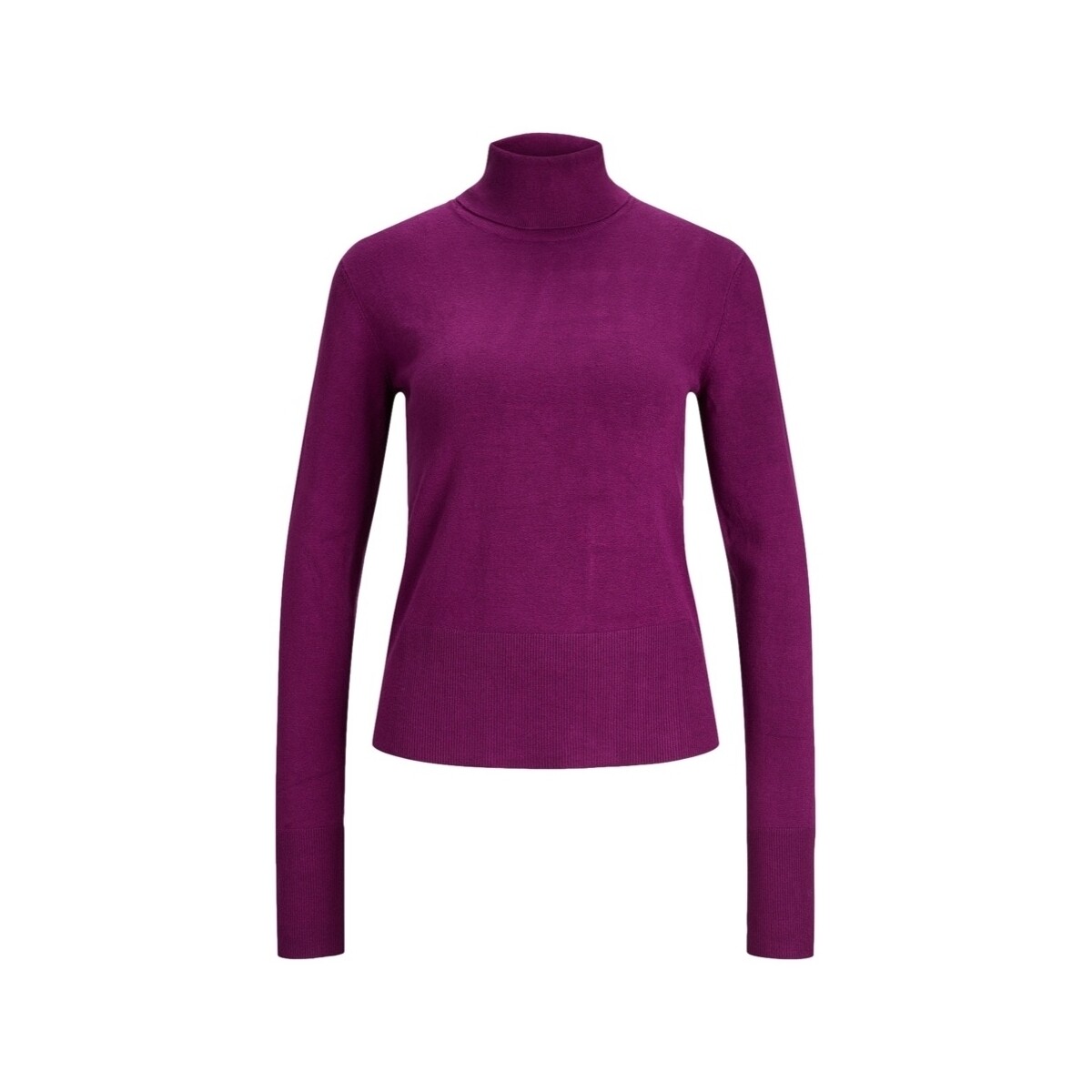Kleidung Damen Pullover Jjxx Noos Ava L/S Roll Neck - Dark Purple Violett