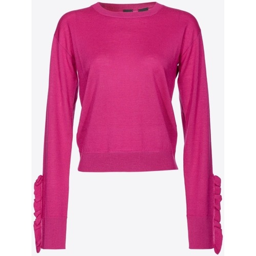 Kleidung Damen Pullover Pinko 101991A189 Violett