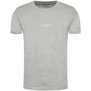 Kleidung Herren T-Shirts Guess Essential Grau