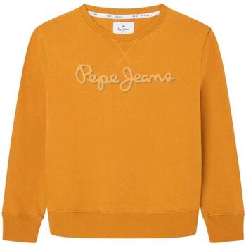 Kleidung Jungen Sweatshirts Pepe jeans  Gelb