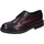 Schuhe Herren Derby-Schuhe & Richelieu Eveet EZ216 Bordeaux