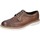Schuhe Herren Derby-Schuhe & Richelieu Eveet EZ245 Braun