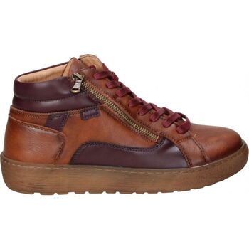 Schuhe Damen Low Boots Calzazul-Flex BOTINES  2422_2 SEÑORA MARRON Braun