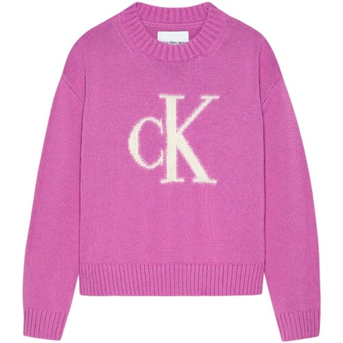 Kleidung Mädchen Pullover Calvin Klein Jeans IG0IG02220 Violett