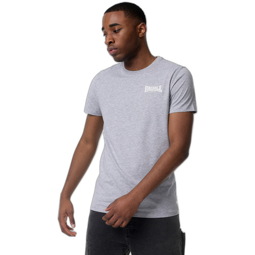 Kleidung Herren T-Shirts Punch T-shirt coupe slim  Elmdon Grau