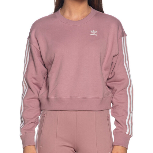 Kleidung Damen Sweatshirts adidas Originals HC2027 Violett