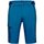 Kleidung Herren Shorts / Bermudas Mammut Sport Runbold 1023-00710-50550 Other