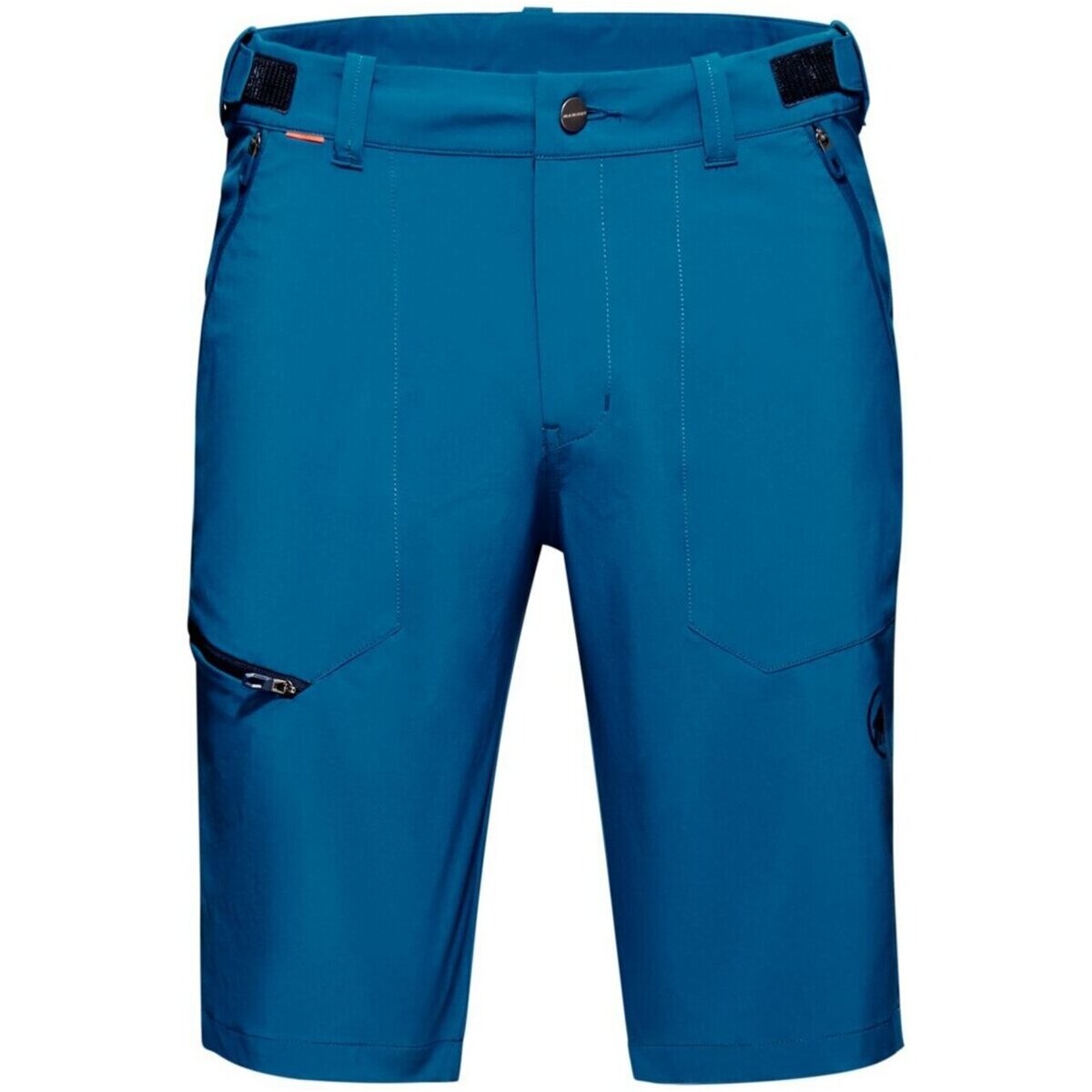 Kleidung Herren Shorts / Bermudas Mammut Sport Runbold 1023-00710-50550 Other