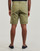 Kleidung Herren Shorts / Bermudas Napapijri NAKURU 6 Kaki
