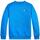 Kleidung Jungen Sweatshirts Tommy Hilfiger  Blau