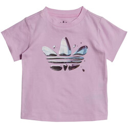 Kleidung Mädchen T-Shirts & Poloshirts adidas Originals HL9425 Violett