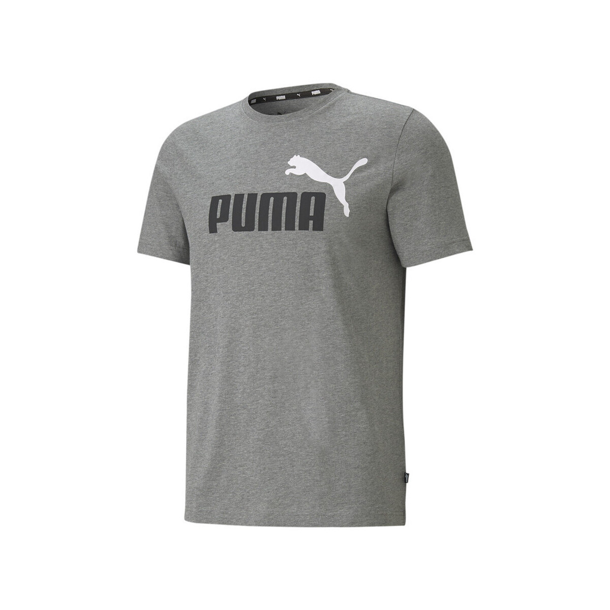 Kleidung Herren T-Shirts & Poloshirts Puma 586759-03 Grau