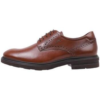Schuhe Herren Derby-Schuhe & Richelieu Fluchos F0630 Braun