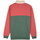 Kleidung Herren Sweatshirts Santa Cruz Classic dot label quarter crew Multicolor