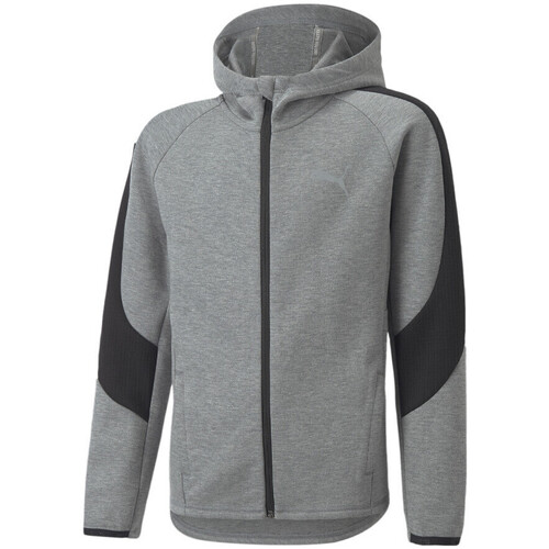 Kleidung Jungen Sweatshirts Puma 670068-03 Grau