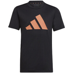 Kleidung Jungen T-Shirts adidas Originals IC5662 Schwarz