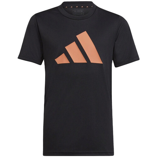 Kleidung Jungen T-Shirts & Poloshirts adidas Originals IC5662 Schwarz