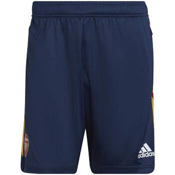 Kleidung Herren Shorts / Bermudas adidas Originals H57460 Blau