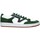 Schuhe Herren Sneaker Low Vans VN0A7TNLLV21 Grün