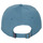 Accessoires Herren Schirmmütze Patagonia P-6 LABEL TRAD CAP Blau